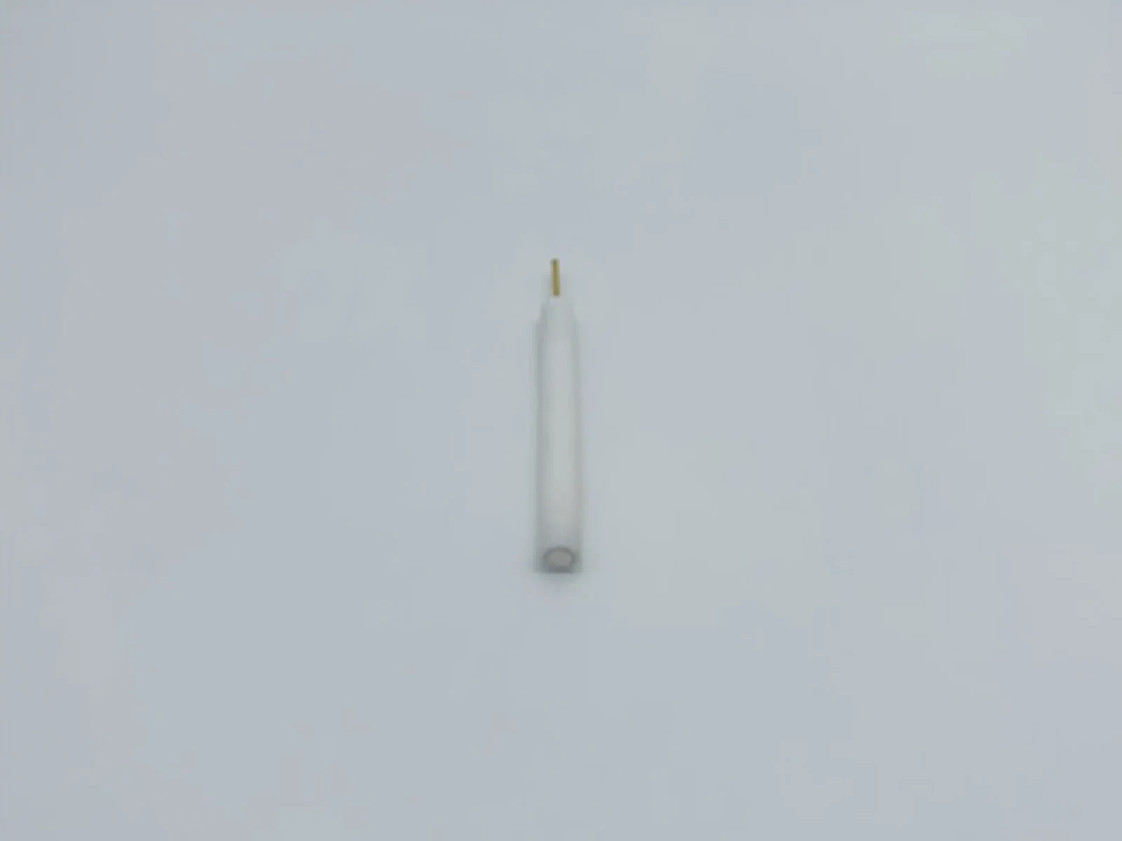 Platinum Disk Electrode, Straight Type (Ø2 mm, PTFE Rod) — view 2